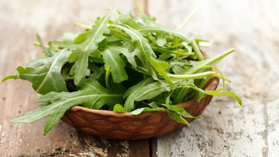 Руккола мангольд