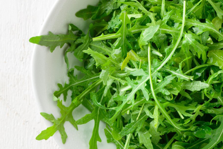 Руккола растение