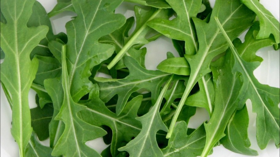 Рукола (Эрука)