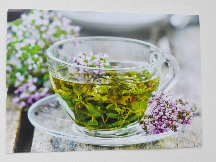 Лекарственные грядки Аптекарский огород