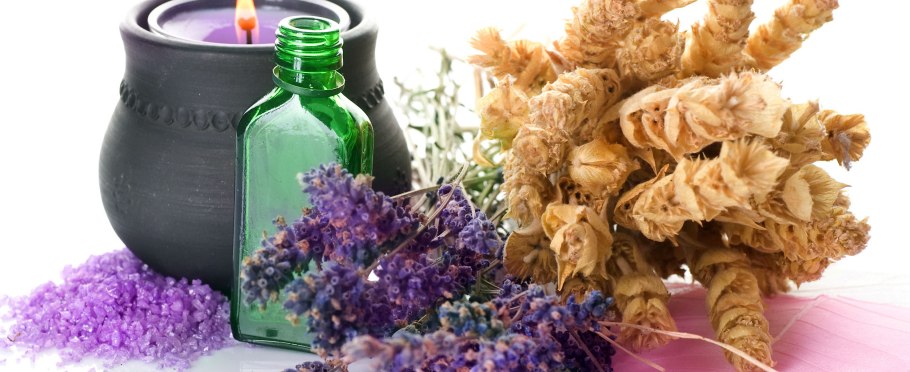 Кервель обыкновенный