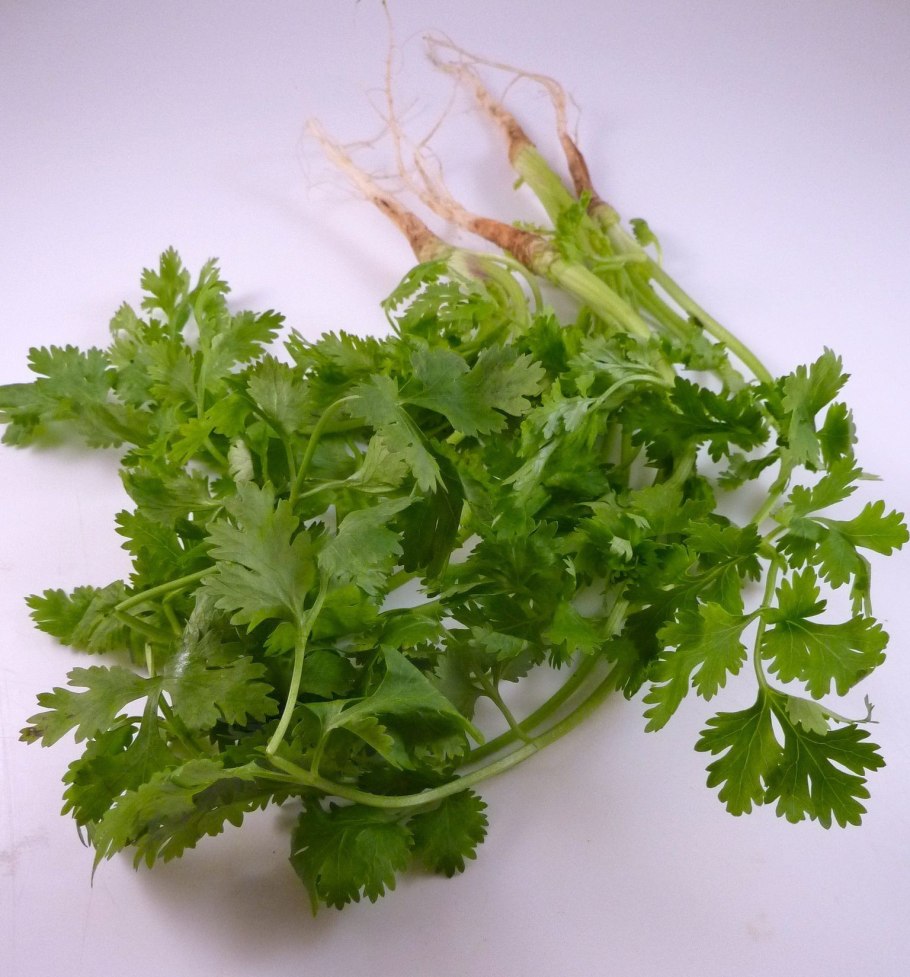 Бедренец камнеломка