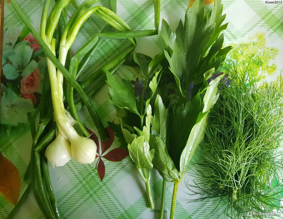 Горная кинза кервель