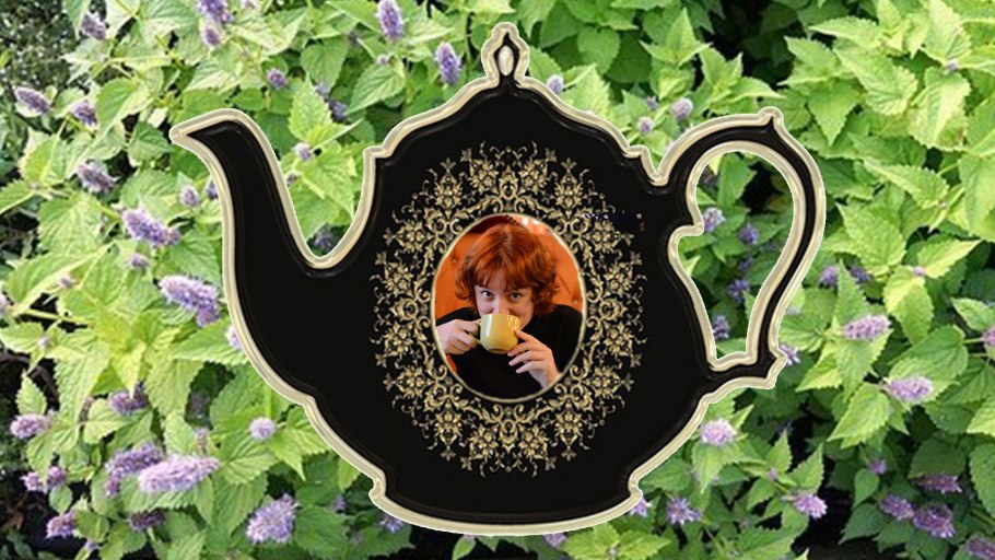 «Пряноароматические травы»