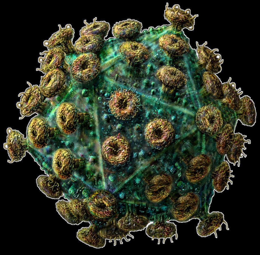 Хлорелла и вольвокс