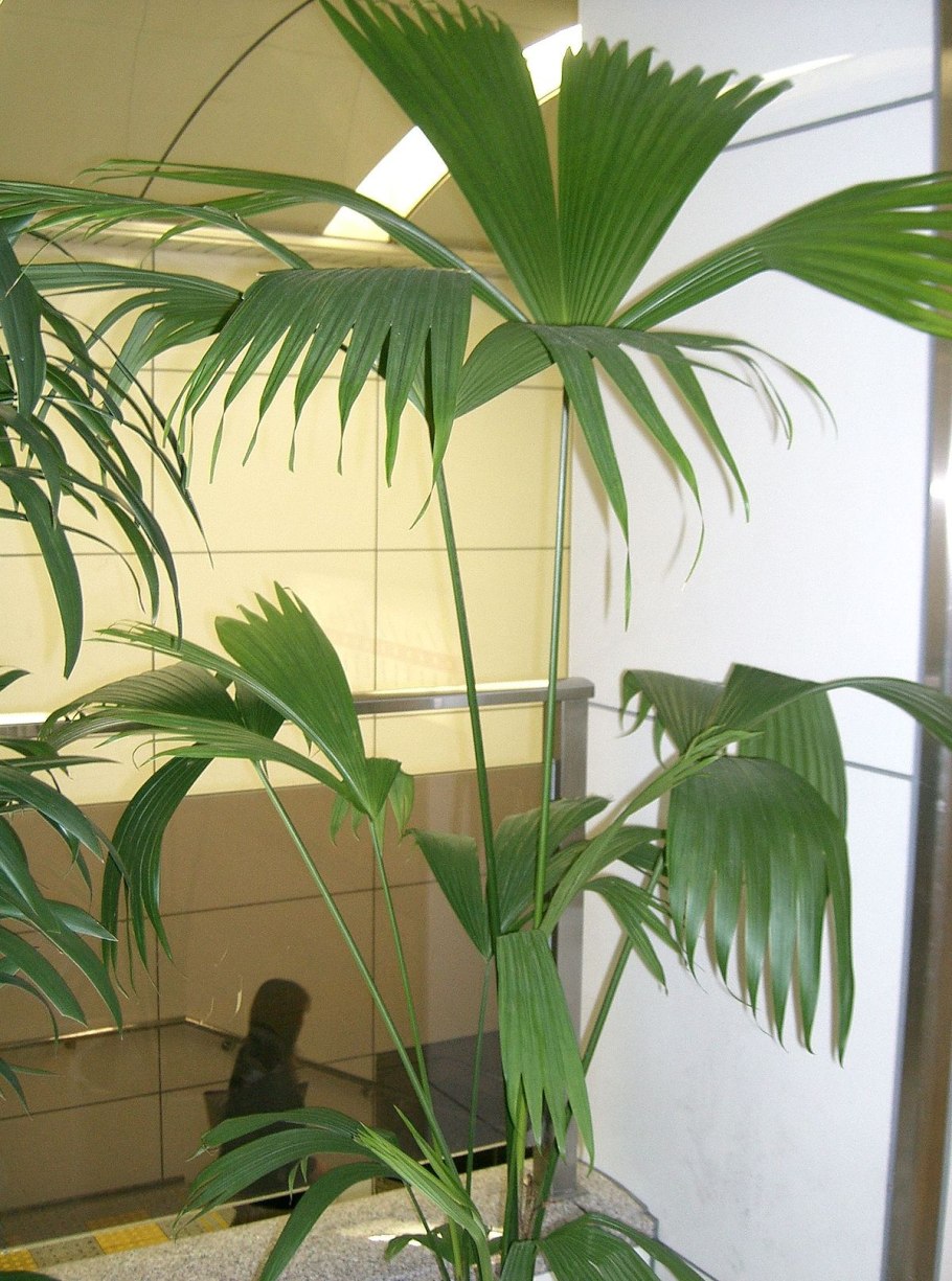 Крючки Gamakatsu Hook LS-1810b