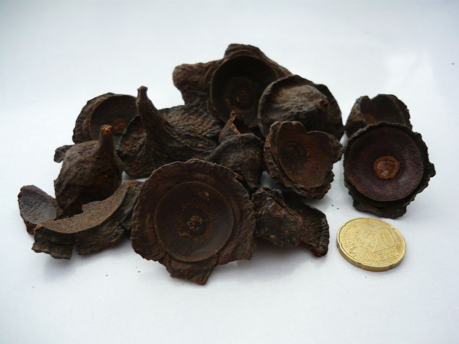 Smithsonian Tropical research Institute file metadata