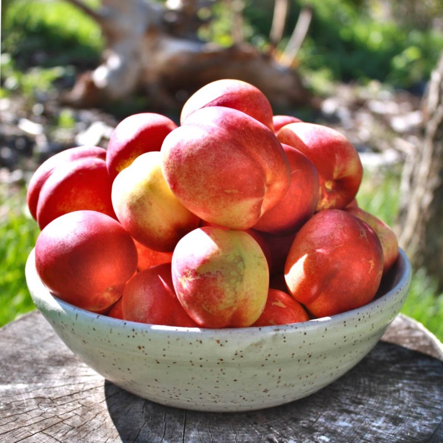 Дерево персика листья