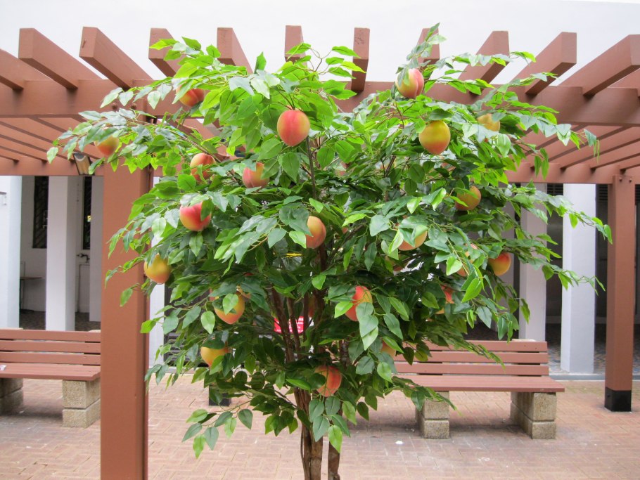 Нектариновое дерево