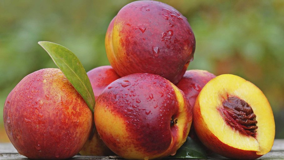 Нектарин лысый персик