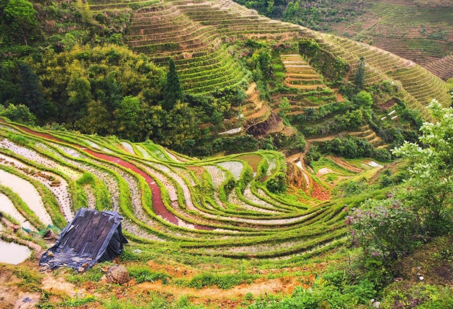 Рисовые террасы Лунцзи в Китае