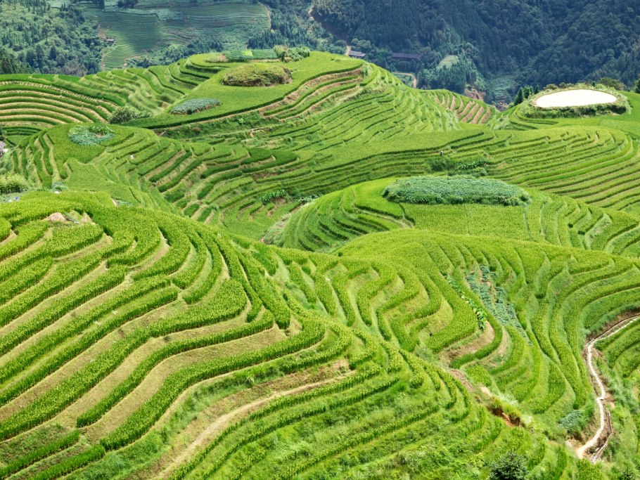Рисовые террасы Лунцзи в Китае