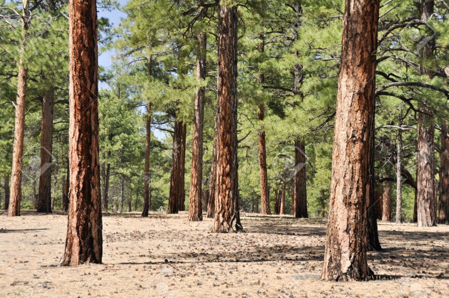 Рассвет в долине великанов