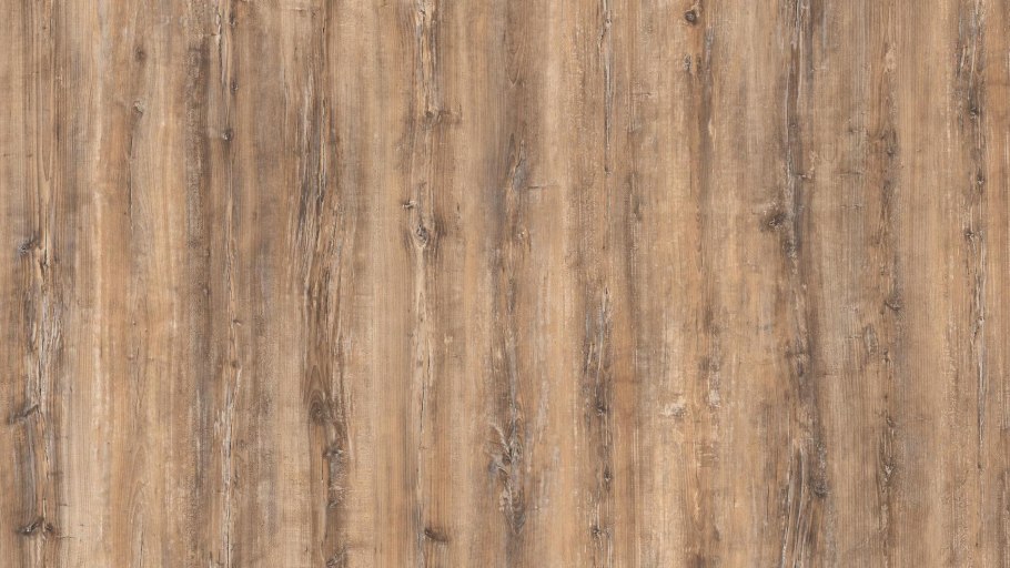 Млоновиц Пинус