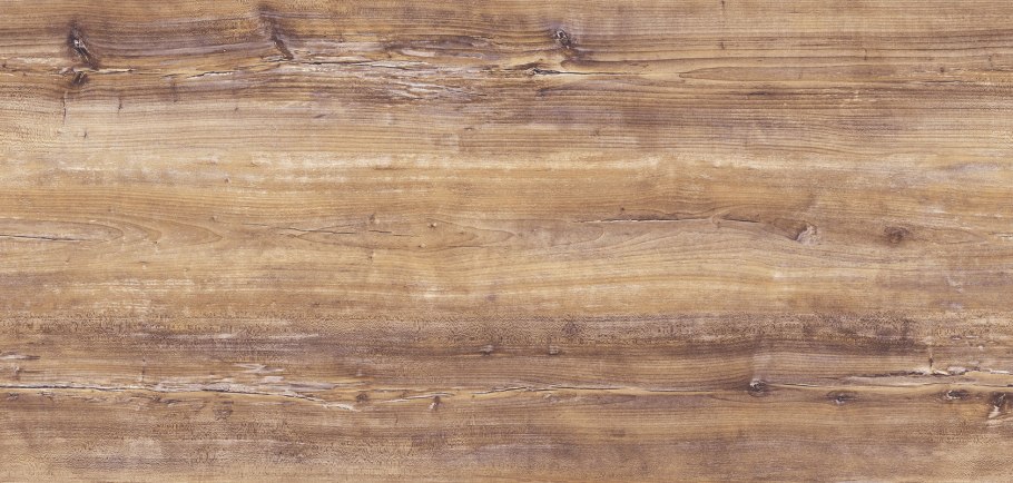 Сосна обыкновенная Jericho