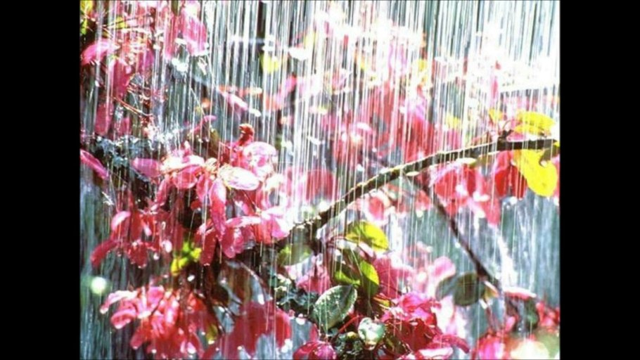 Весенний дождь в саду