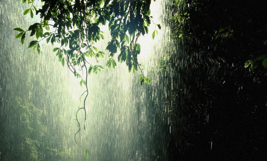 Седые дожди