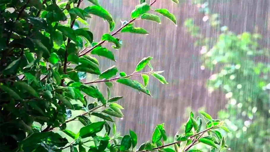 Сильный дождь