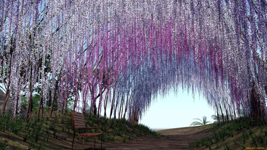 Сад Кавати Фудзи