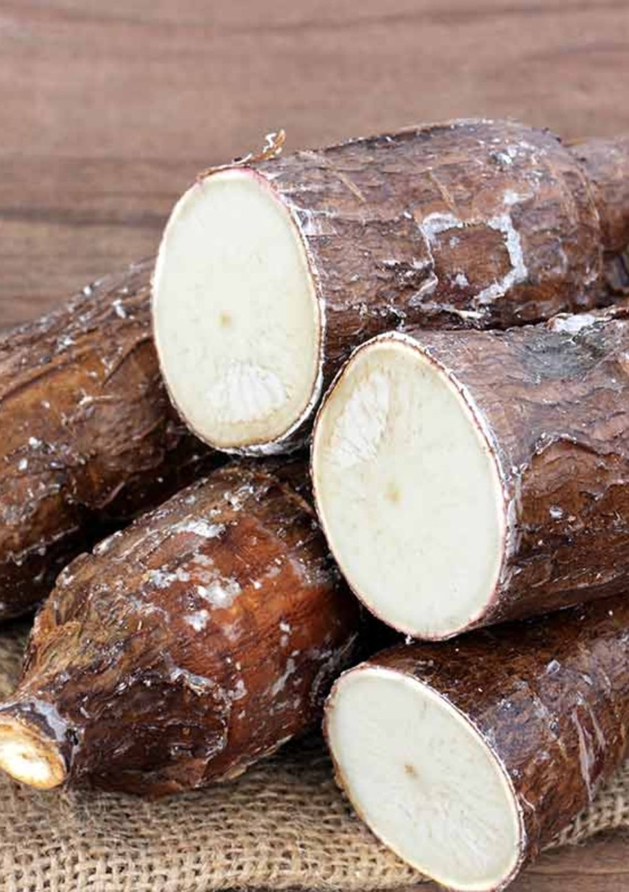 Кассава маниока