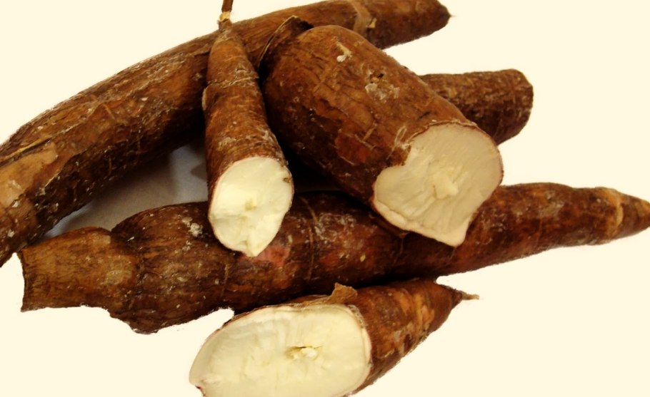 Маниока тапиока