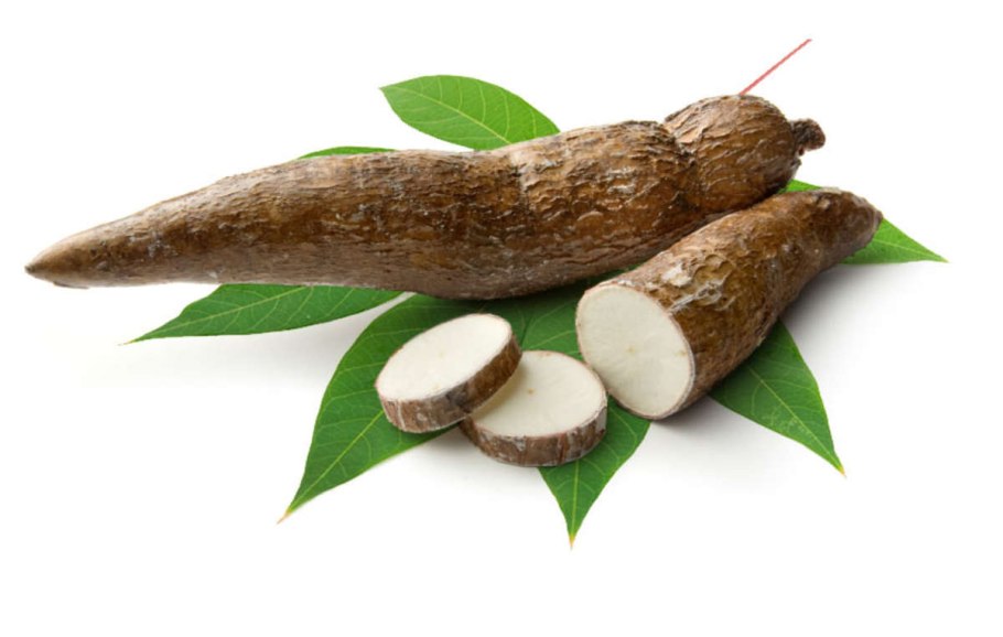 Маниок корнеплод