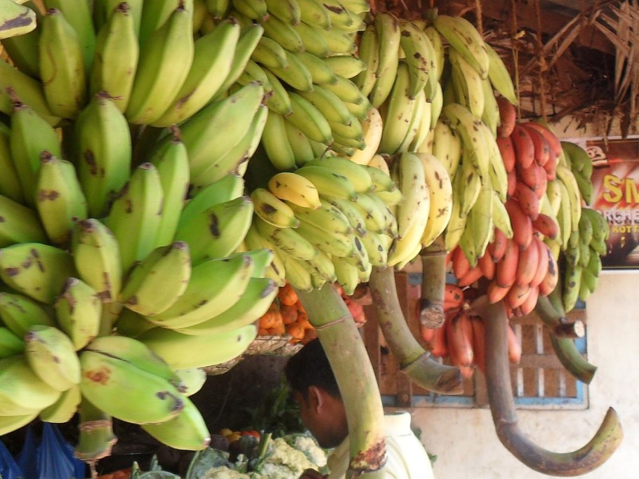 Сорта бананов