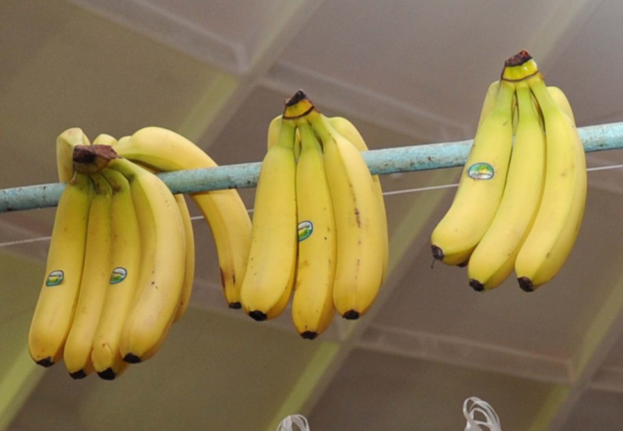 Маленький сорт бананов