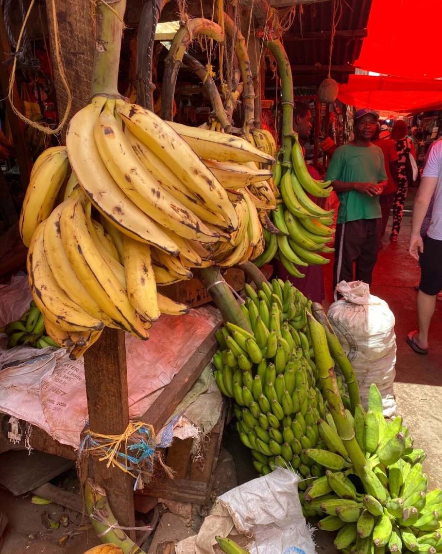 Кормовые сорта бананов