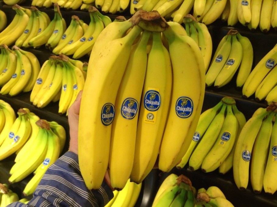 Кормовые сорта бананы