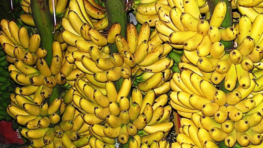 Маленькие бананы