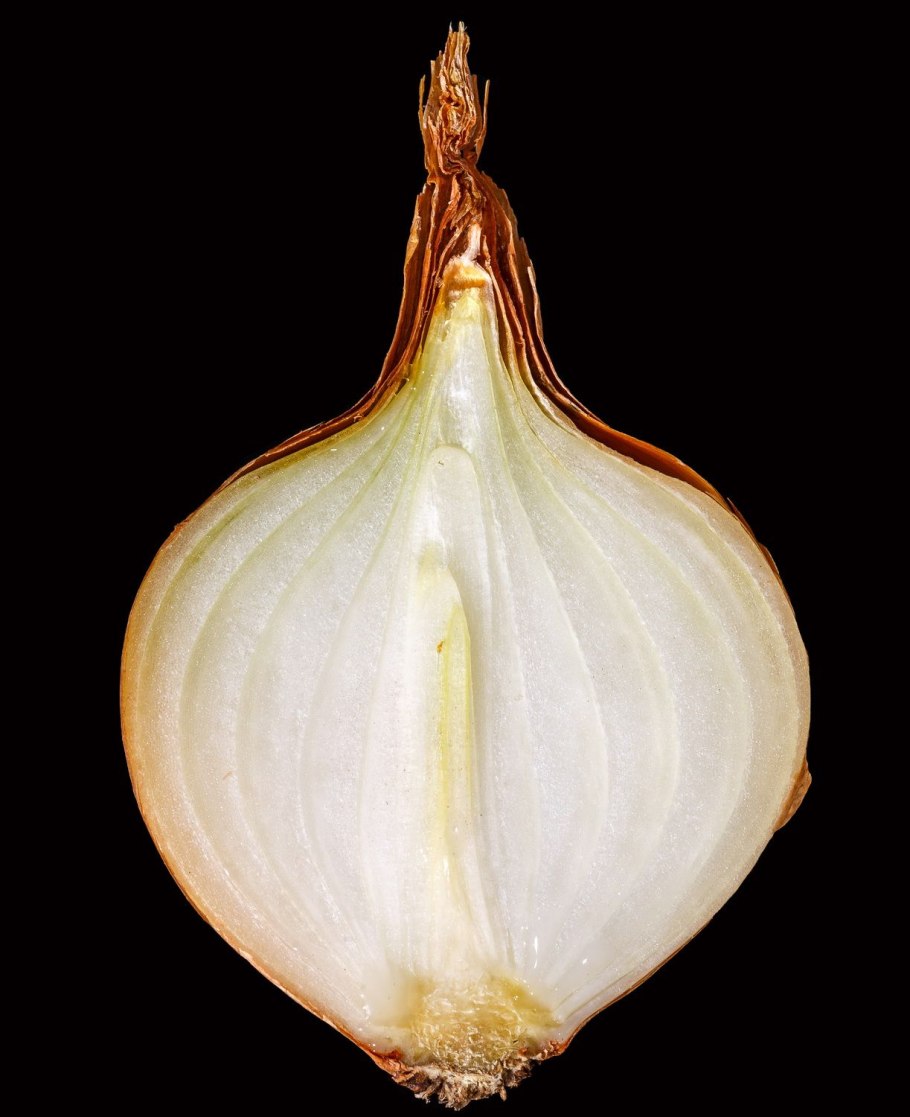 Лук репчатый вес 1кг