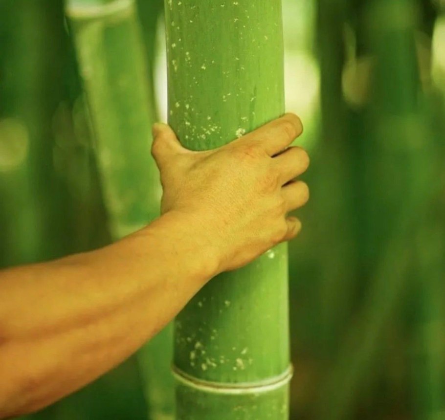 Atlas Concorde Mek Light 45x90