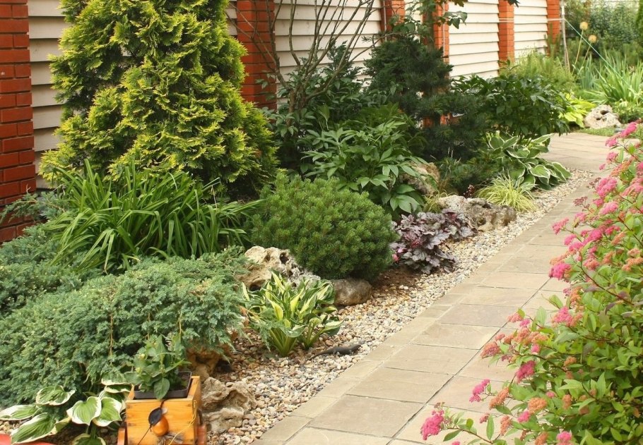 Туя розмарин миксбордер