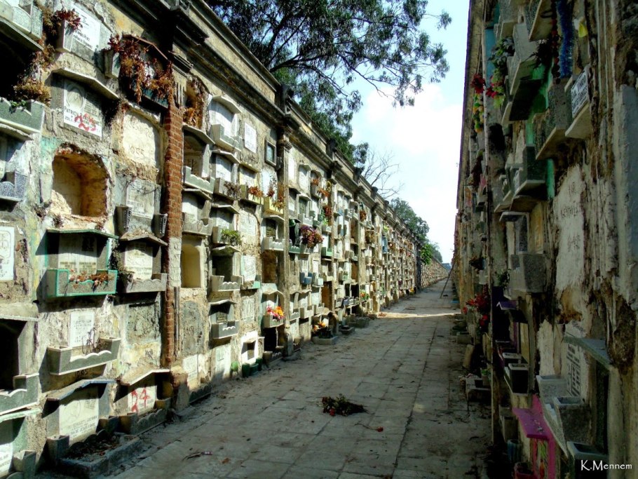 Прополиса настойка 25мл. И/У /Вифитех/