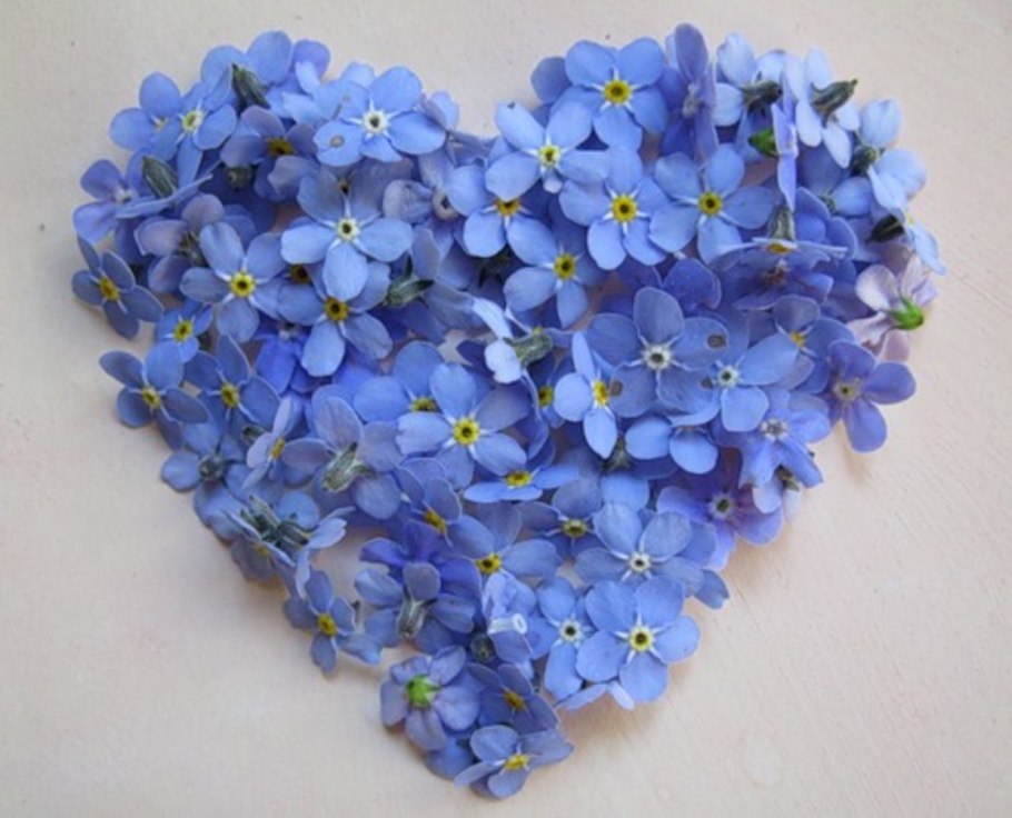 Букет незабудок