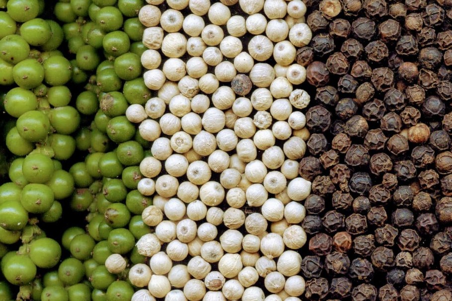 Перец черный горошек растение