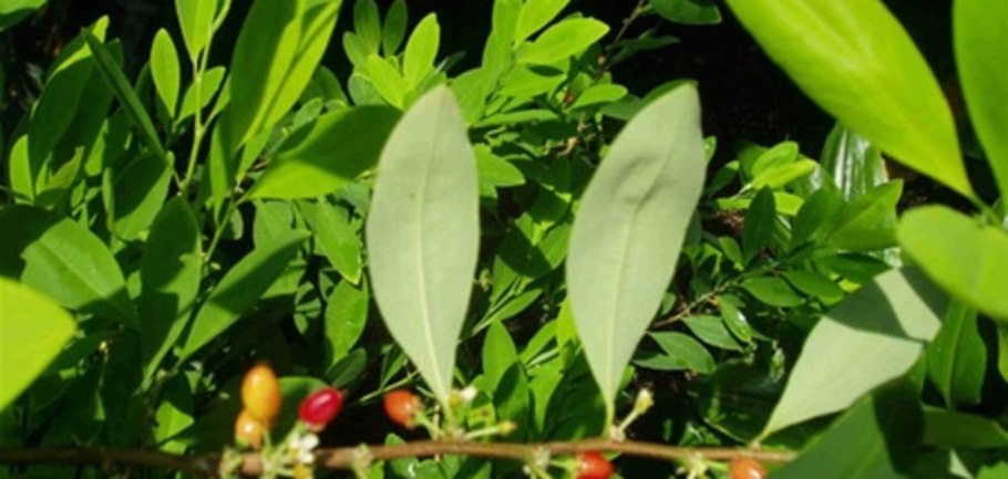 Холодильник Toshiba gr-rt565rs(LS)