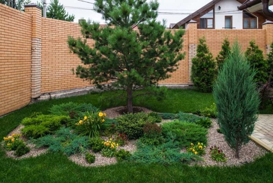 Голубая ель Исеть сад