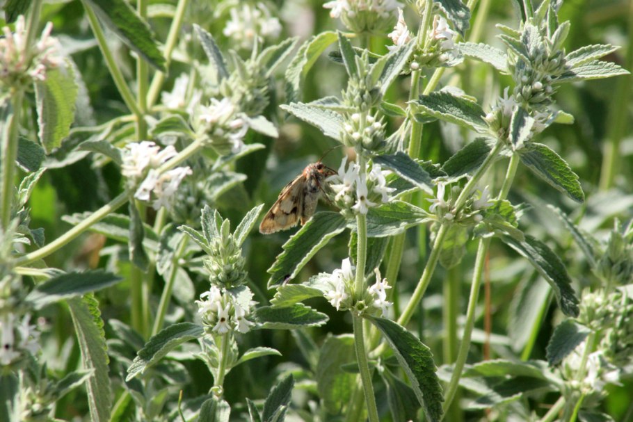 Росляков секретный миллионер