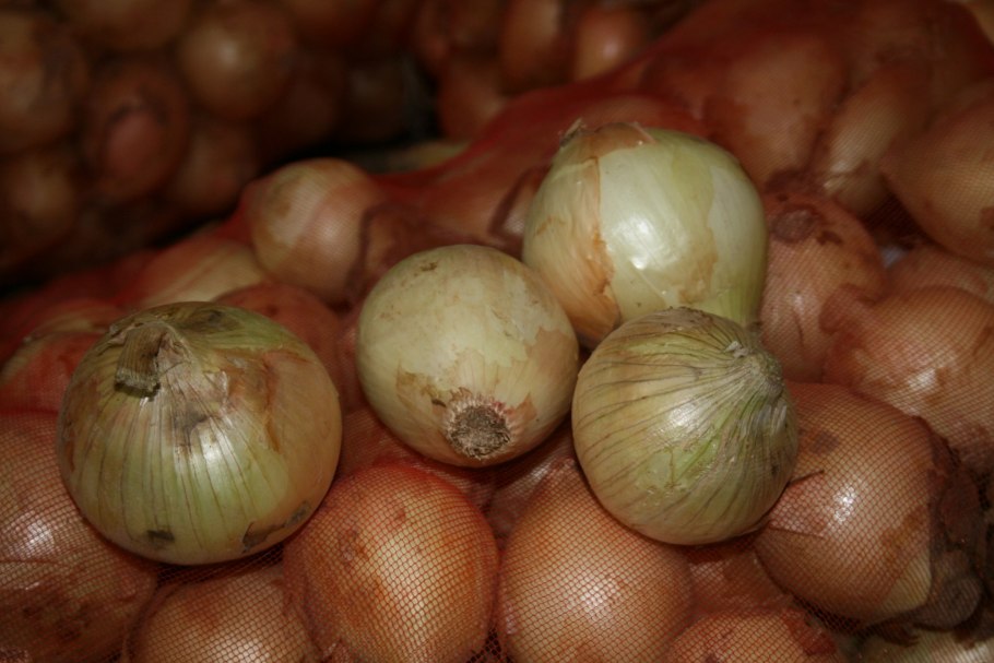 Лук репчатый Изабелла-46