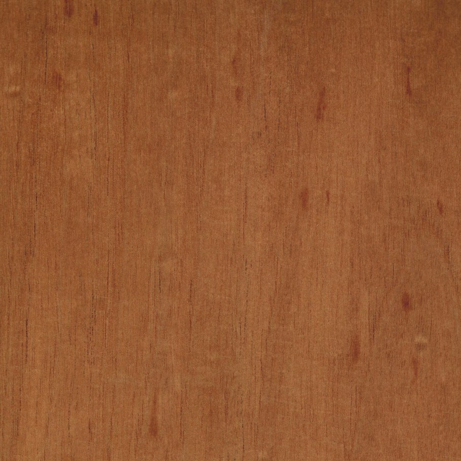 Форма семян ботаника