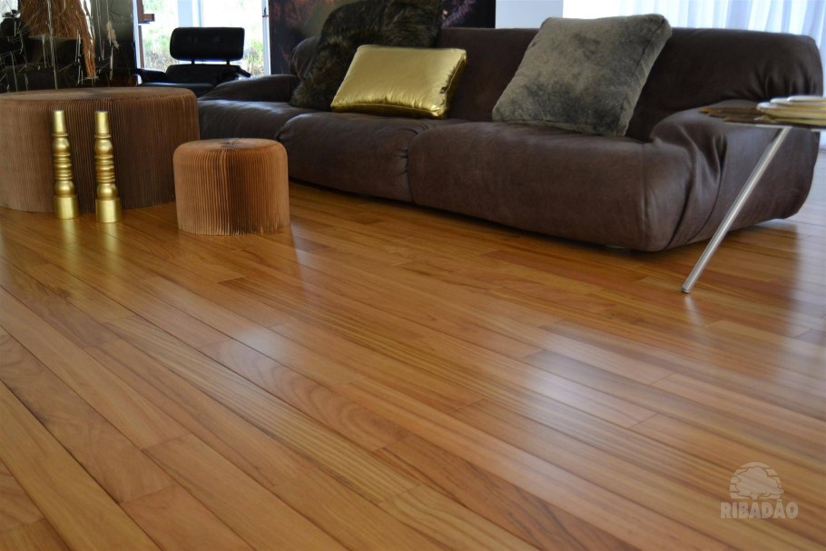 Доуссия в интерьере