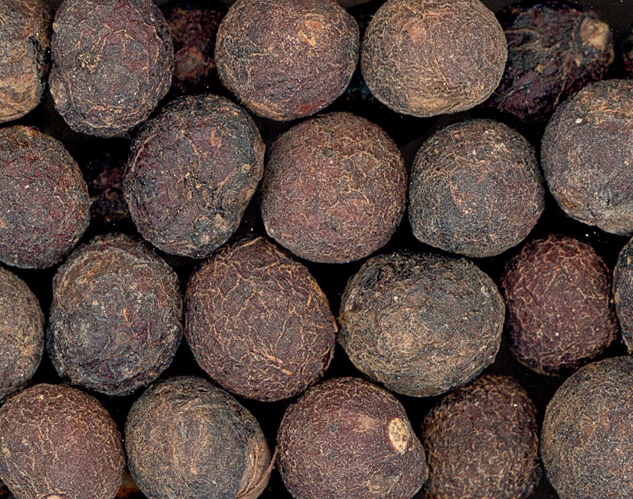 Коккулус Лаурифолиус