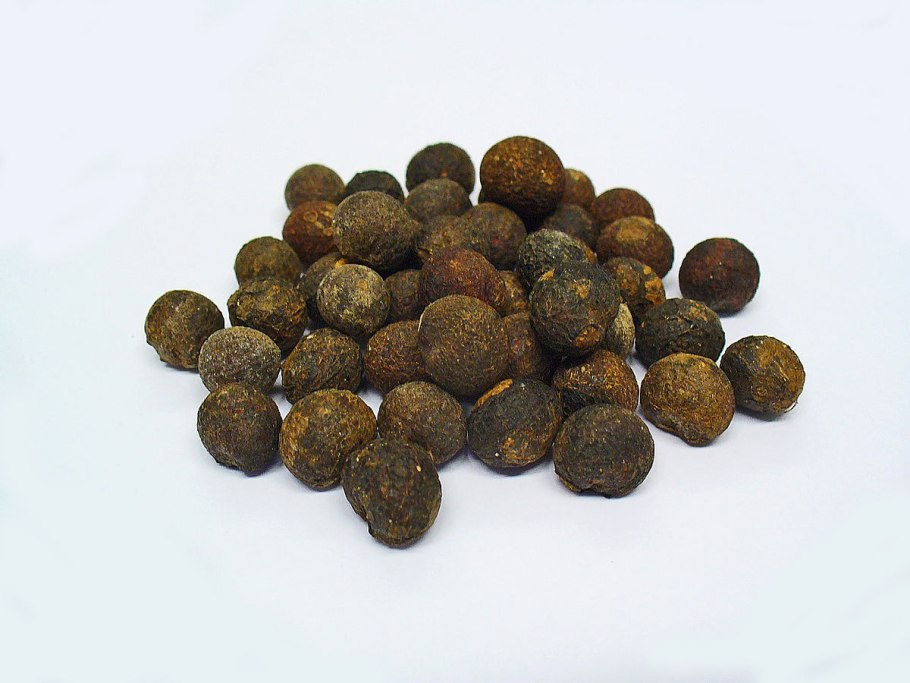 Анамирта коккулюсовидная