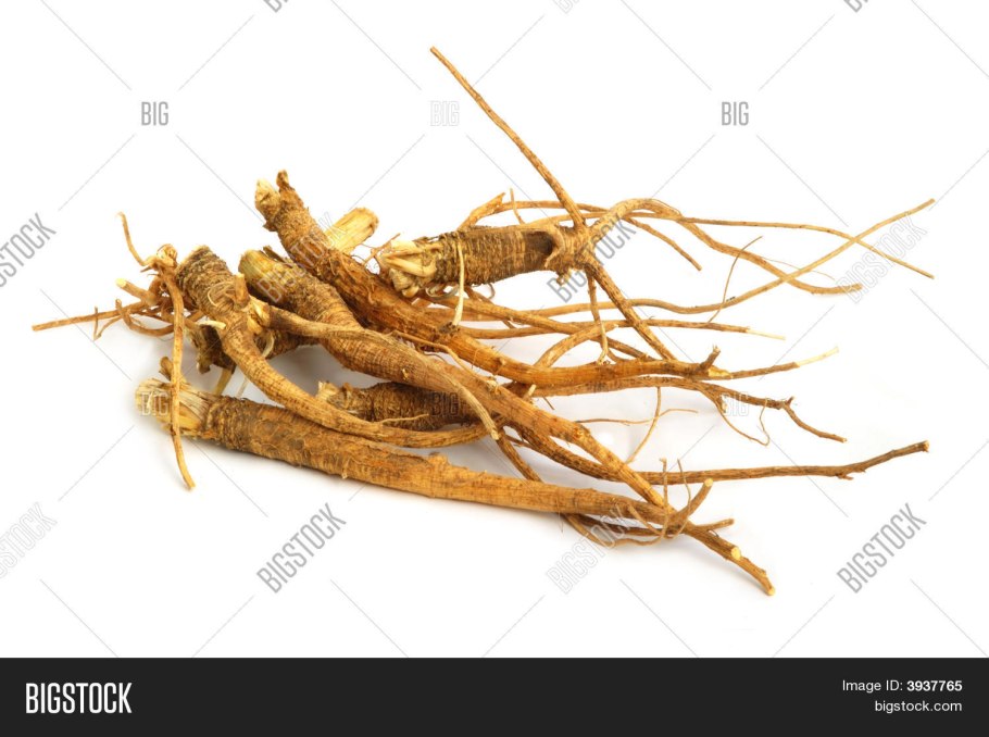 Корни дерева