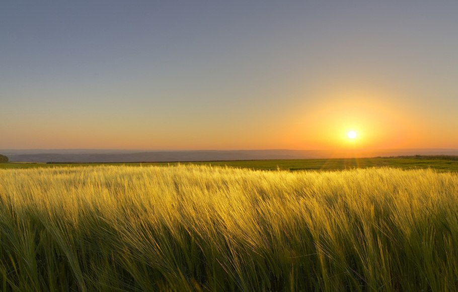 Солнце в степи