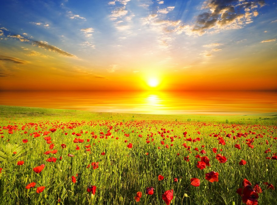 Солнце летом