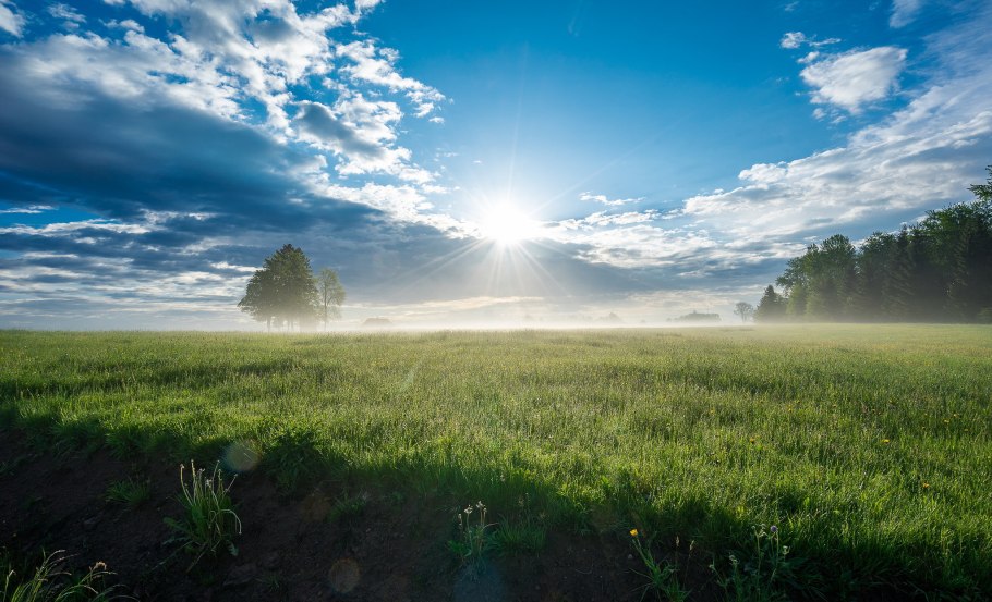 Рассвет в поле