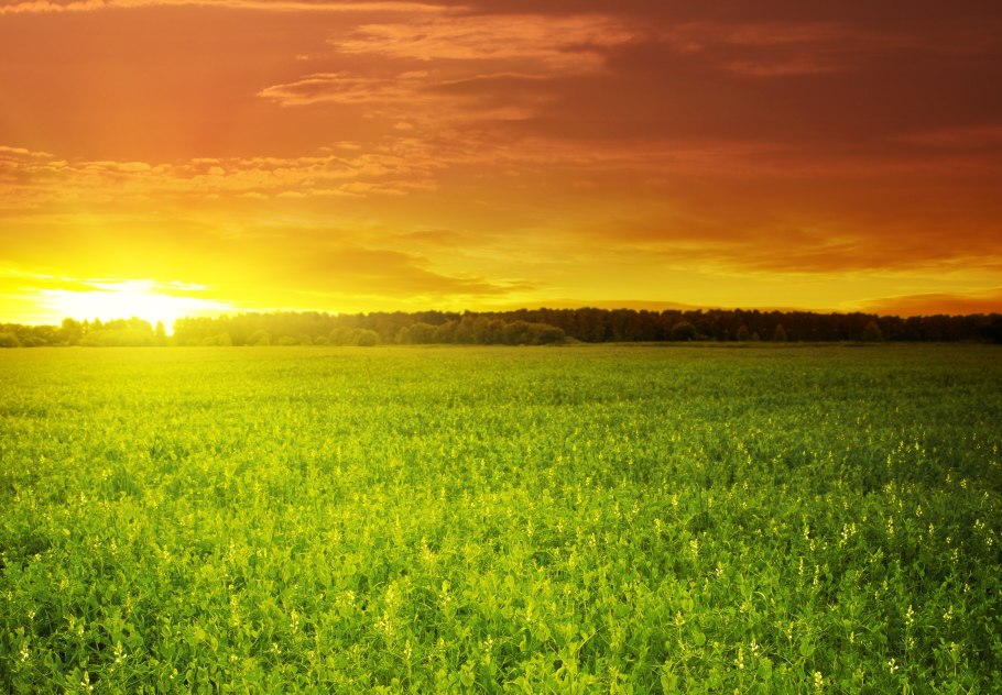 Природа солнце